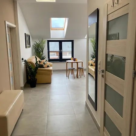 Apartament II W Centrum - Winda - 50 Metrow Od Starego Rynku Косьцежина Екстер'єр фото