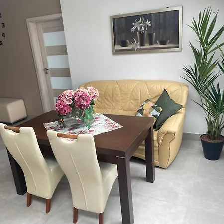 Apartament II W Centrum - Winda - 50 Metrow Od Starego Rynku Косьцежина Екстер'єр фото
