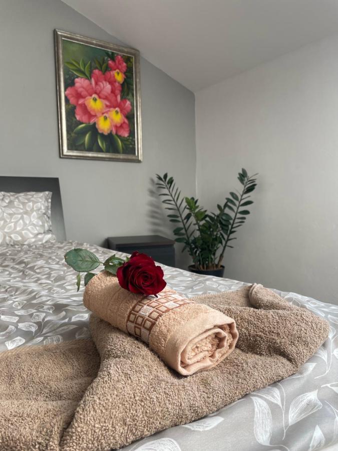 Apartment Ii W Centrum - Winda - 50 Metrow Od Starego Rynku Koscierzyna
